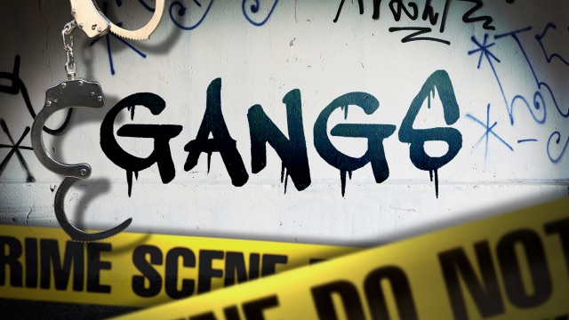 Gang Awareness Governors Initiative 