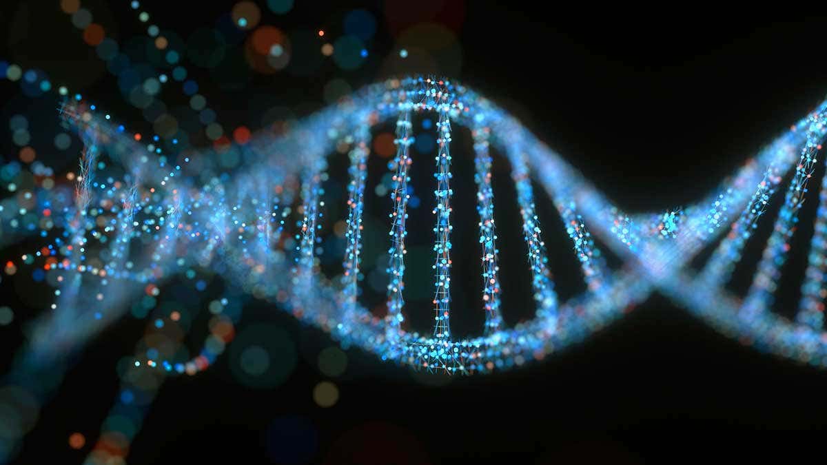 DNA Submissions